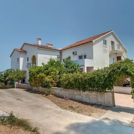Belvedere - Oliva *